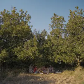 barnakova-piknik-s-vinom-4