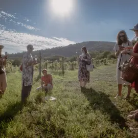 natural-wine-picnic-barnakova-1