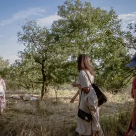 natural-wine-picnic-barnakova-2