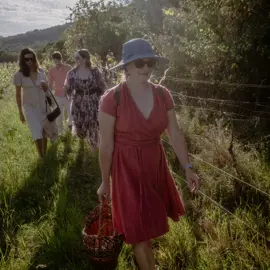 natural-wine-picnic-barnakova-3